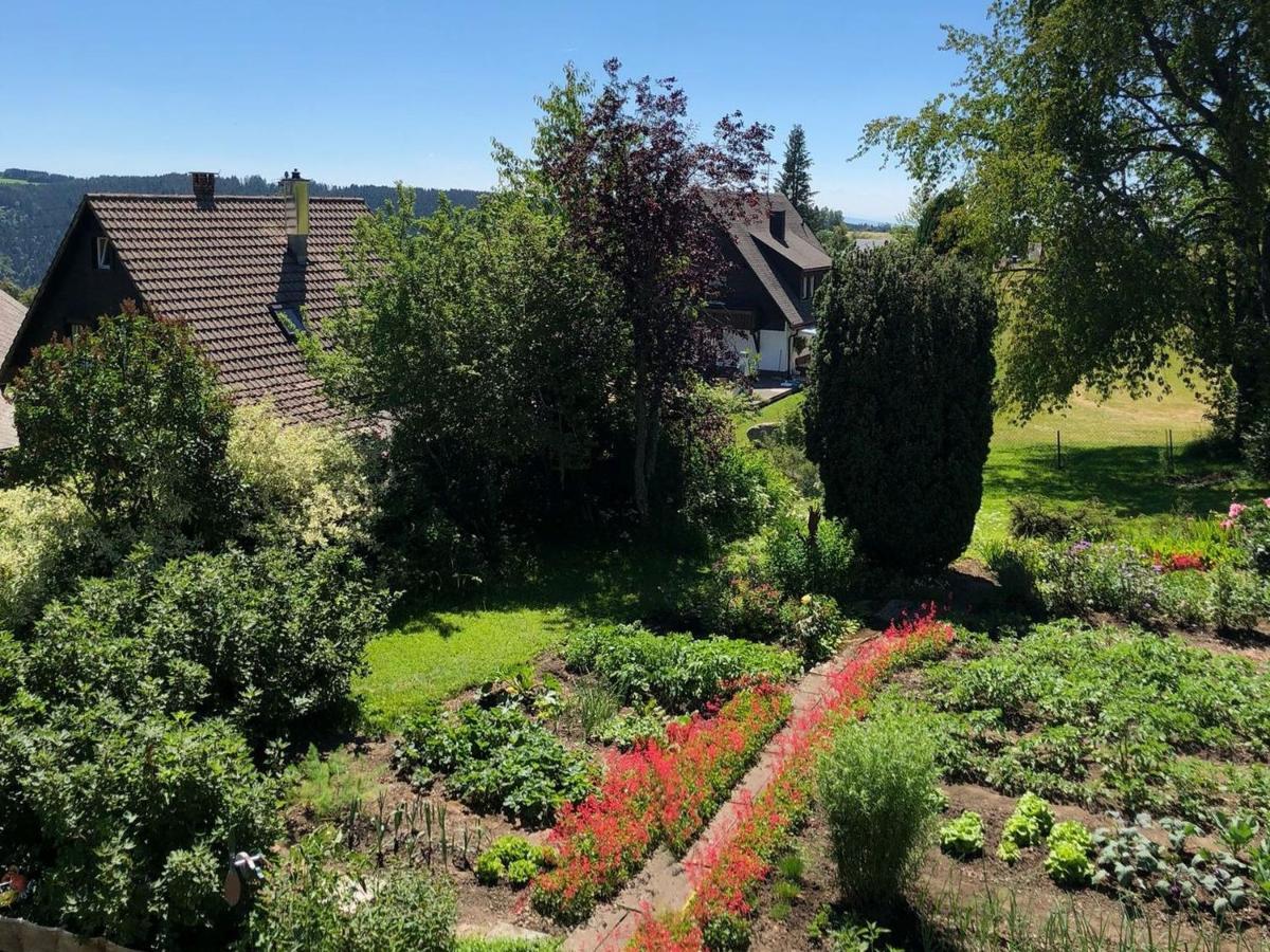 Appartamento Haus Jurisch Urberg Esterno foto